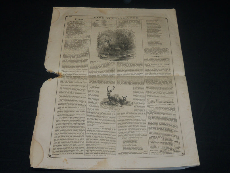 1855 DECEMBER 15 LIFE ILLUSTRATED NEWSPAPER - HENRY WARD BEECHER - NP 4791
