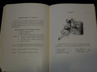 1925 THE INTERVERTEBRAL FORMANIA IN MAN BOOK BY HAROLD SWANBERG - KD 7870