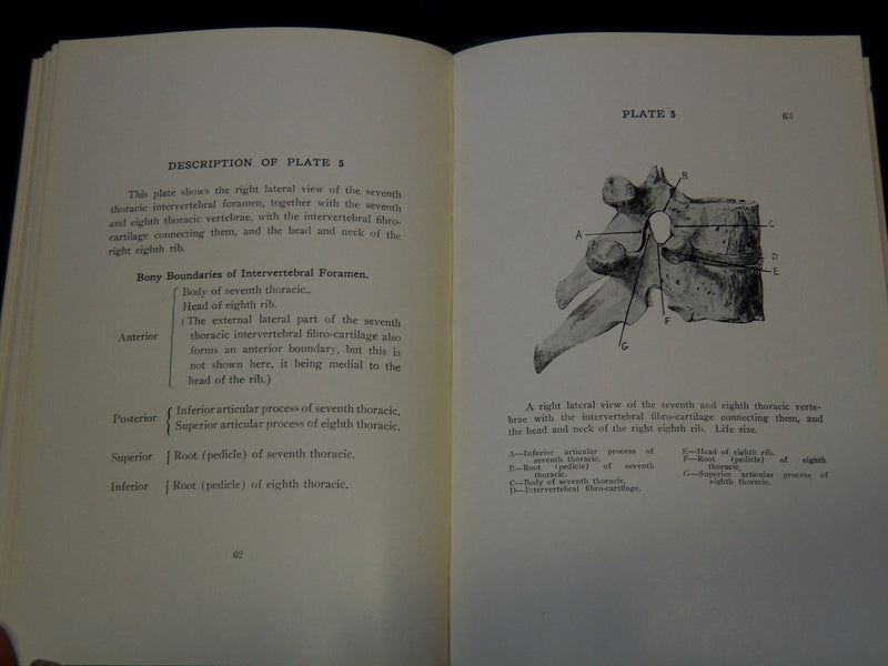 1925 THE INTERVERTEBRAL FORMANIA IN MAN BOOK BY HAROLD SWANBERG - KD 7870