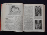 1984 PATHOLOGIC BASIS OF DISEASE HARDCOVER BOOK - ROBBINS-COTRAN-KUMAR - KD 8892