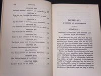 1886 AMERICAN COMMONWEALTHS MICHIGAN HISTORY OF GOVERNMENT BOOK - KD 5786