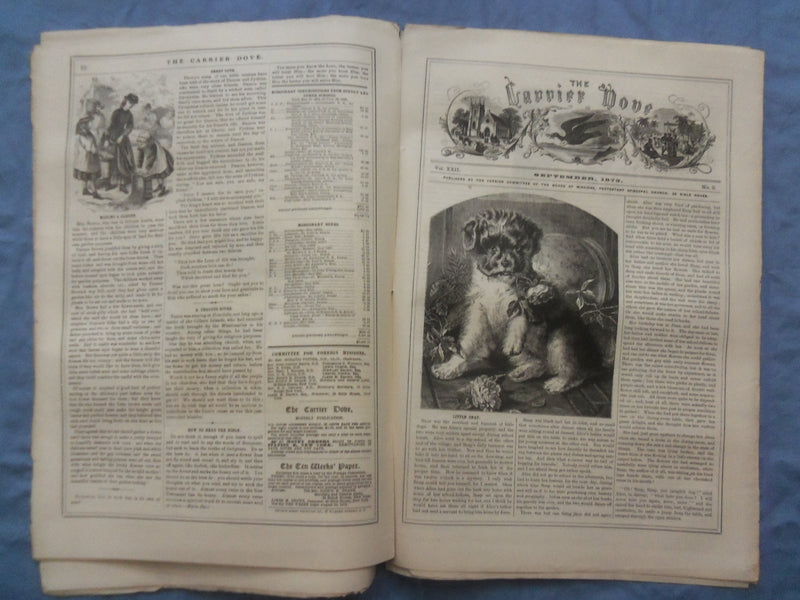 1873-1877 CARRIER DOVE NEWSPAPER -PROTESTAND EPISCOPAL CHURCH-LOT OF 60- NP 8413