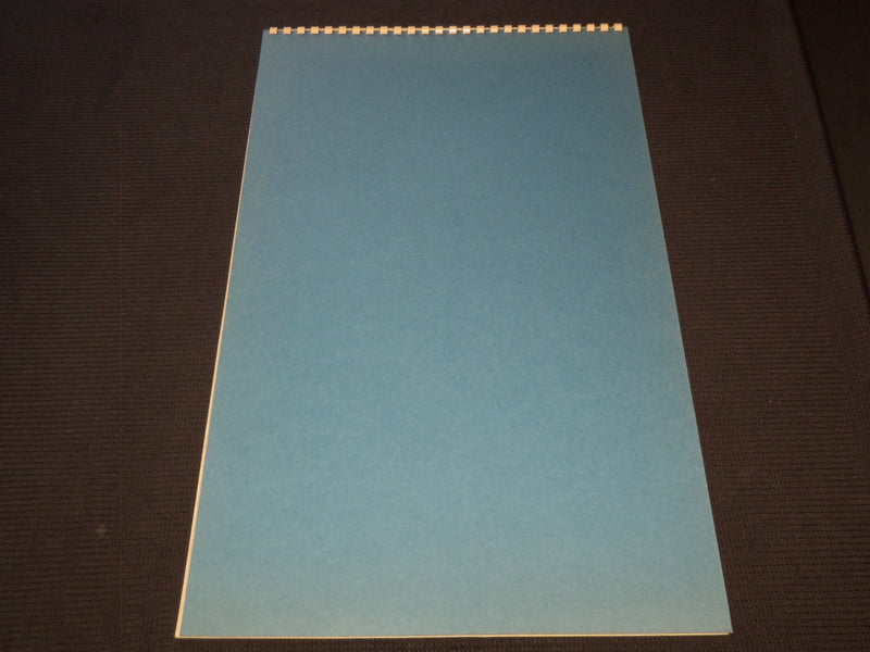 1954 EAGLE LINE HANGERS CALENDAR SALESMAN SAMPLE SHEETS BOOK - C 19