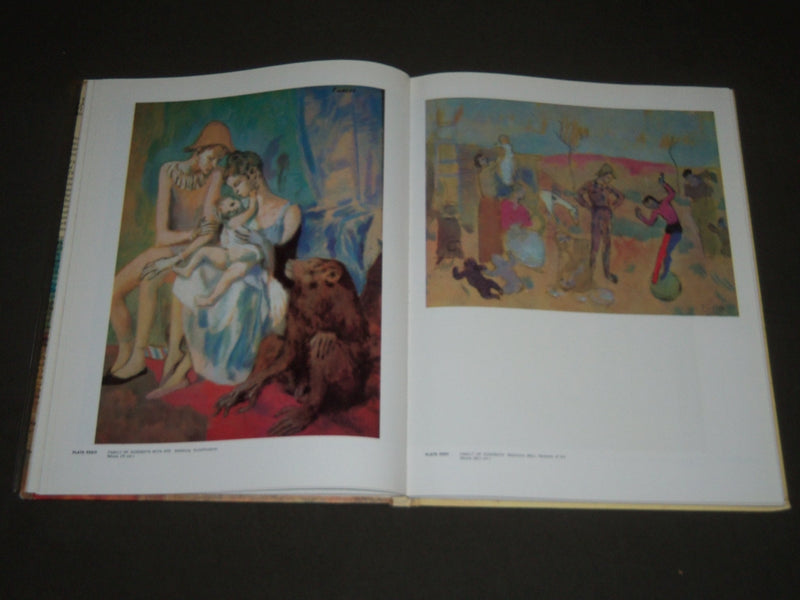 1968 THE COMPLETE PAINTINGS OF PICASSO EDITED BY PAOLO LECALDANO - KD 3861