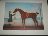 1966 THE BRITISH THOROUGHBRED 1700-1850 BY VINCENT ORCHARD BOOK - I 1254