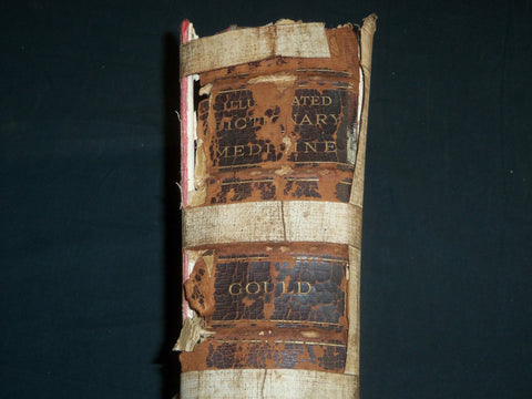 1907 AN ILLUSTRATED DICTIONARY OF MEDICINE BIOLOGY BOOK BY GEORGE GOULD- KD 1421