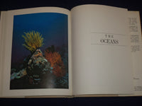 1987 LIFE IN THE BALANCE BOOK BY DAVID RAINS WALLACE - GREAT PHOTOS - KD 2698