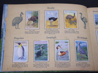 1940'S DANMARKS SERIE FRA FUGLENES VERDEN BIRDS TOBACCO CARDS ALBUM - KD 3188