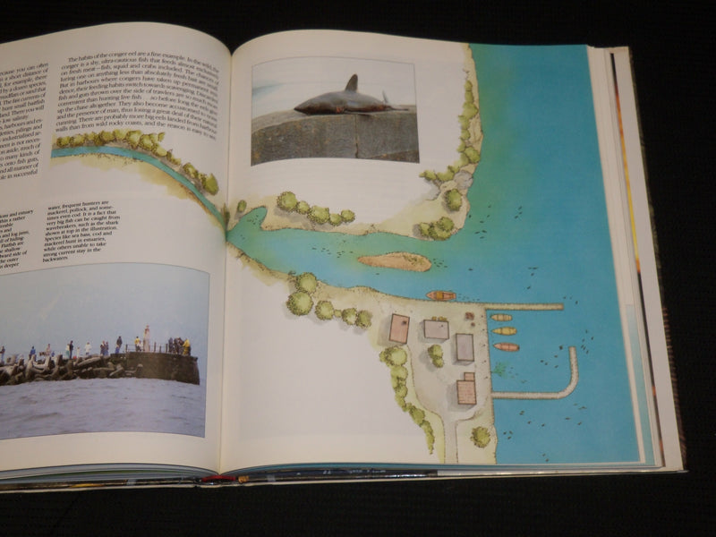 198 8 THE COMPLETE BOOK OF SPORTFISHING BOOK BY GORAN CEDERBERG - R 709Y