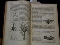 1850 COURS ELEMENTAIRE D'HISTOIRE NATURELLE FRENCH VOLUME - KD 7713