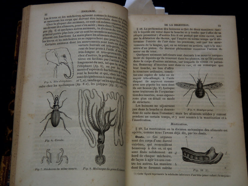 1850 COURS ELEMENTAIRE D'HISTOIRE NATURELLE FRENCH VOLUME - KD 7713