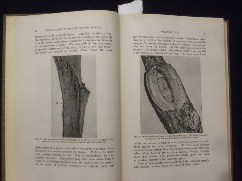 1939 PROPAGATION OF HORTICULTURAL PLANTS HARDCOVER BOOK-ADRIANCE/BRISON- KD 8670