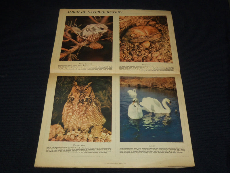 1954 APRIL 25 COLORAMA SECTION PHILA INQUIRER- GREGORY PECK - RITA GAM - NP 8988