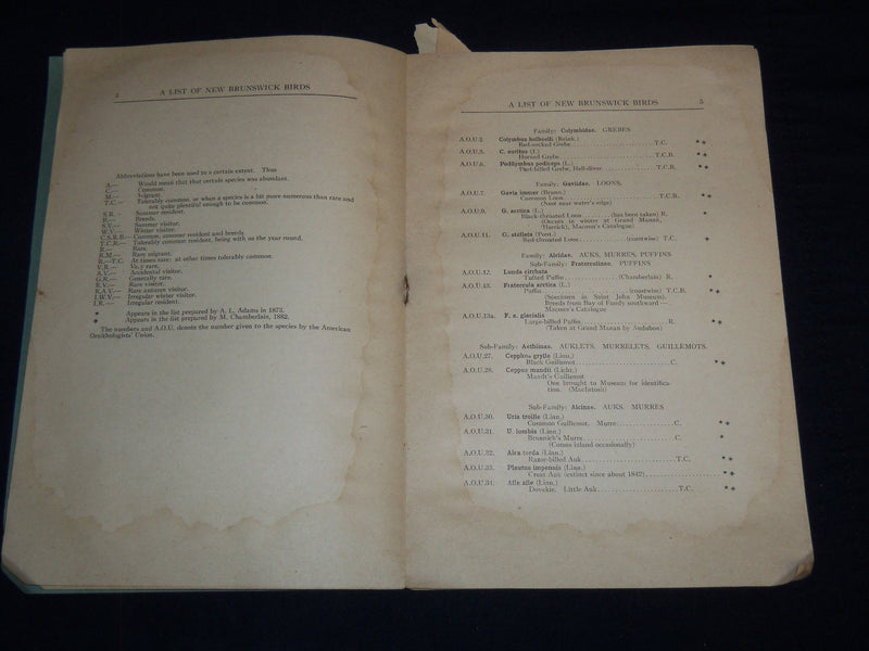 1928 A LIST OF NEW BRUNSWICK BIRDS BY WM. J. MOORE - FREDERICTON SCIENCE- J 8980
