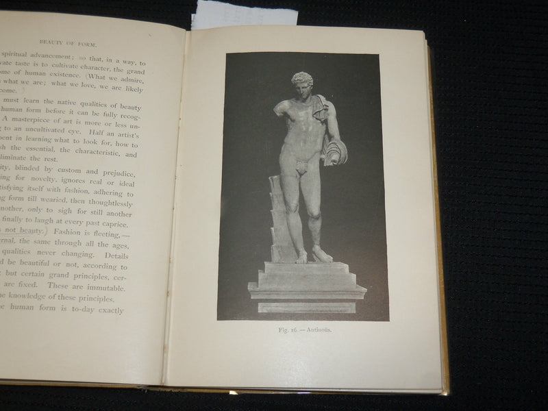 1894 BEAUTY OF FORM AND GRACE OF VESTURE HARDCOVER BOOK - FRANCES STEELE- J 7030
