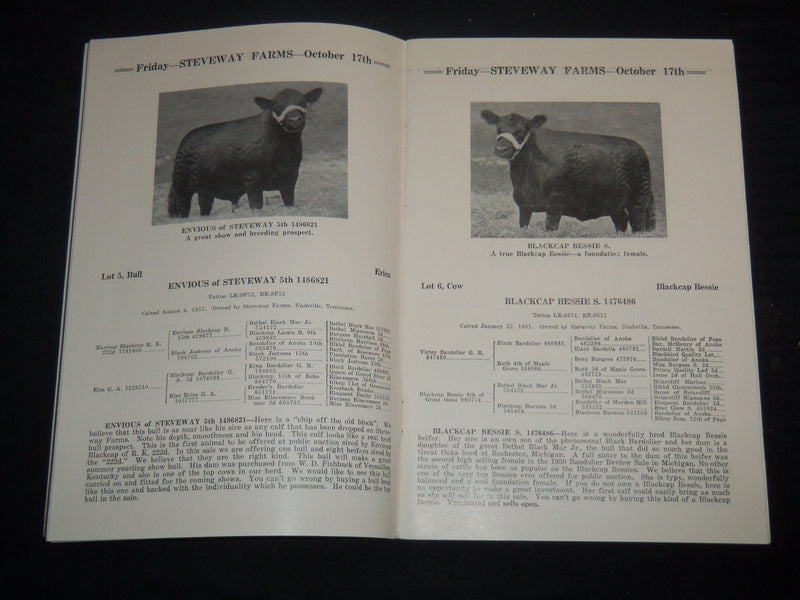 1952 STEVEWAY FARMS ABERDEEN-ANGUS BREEDERS' ANNUAL CATTLE SALE CATALOG - J 9229