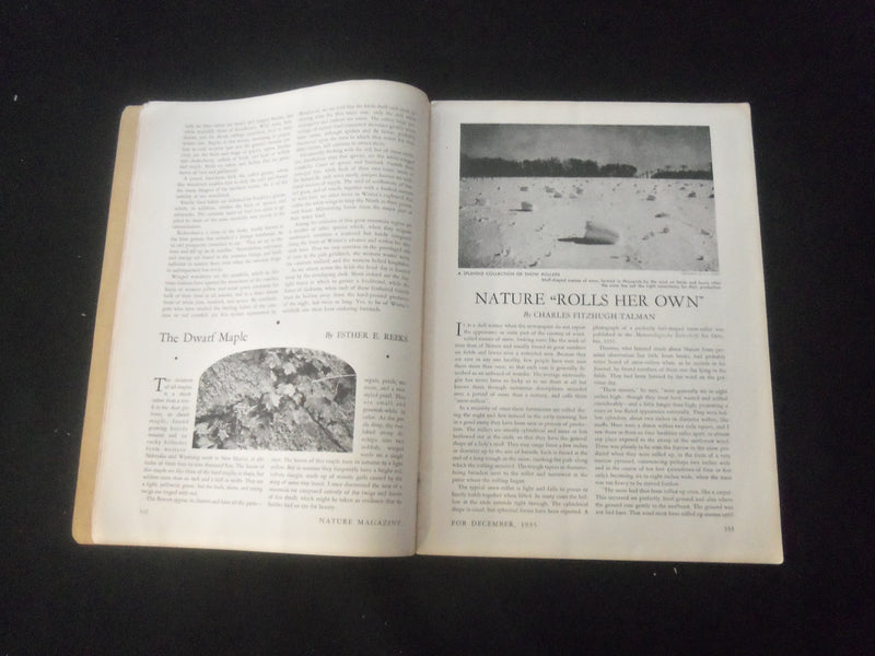 1935 DECEMBER NATURE MAGAZINE - AT THE ICE KING'S BOARD - B 1181N