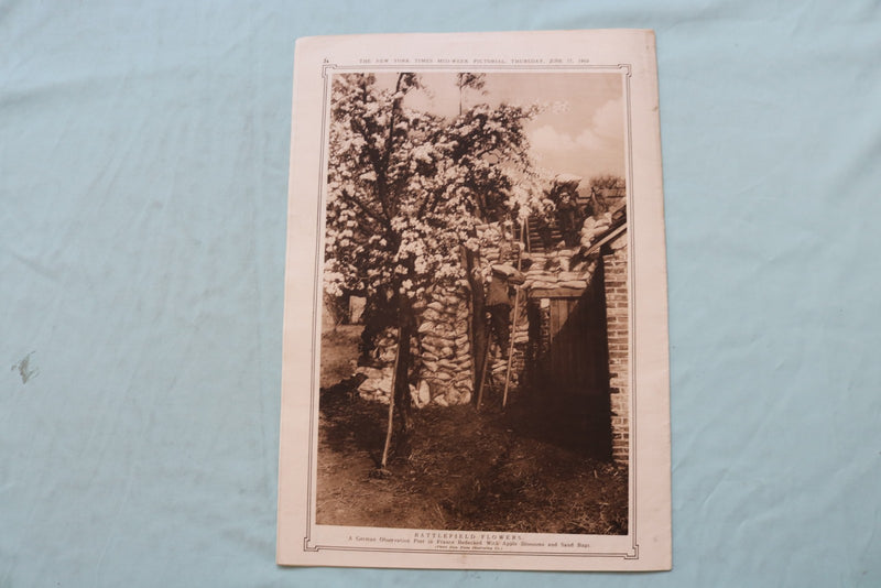 1915 JUNE 17 NEW YORK TIMES MID-WEEK PICTORIAL - KING VICTOR EMMANUEL - NP 9141