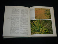1974 FERNS HARDCOVER BOOK BY ROGER GROUNDS - GREAT PHOTOS - KD 6892