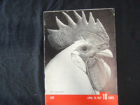 1937 APRIL 26 LIFE MAGAZINE - WHITE LEGHORN ROOSTER - L 23