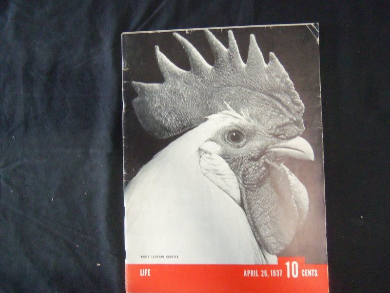 1937 APRIL 26 LIFE MAGAZINE - WHITE LEGHORN ROOSTER - L 23