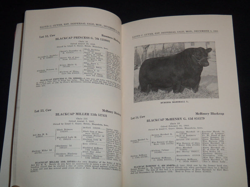 1951 LLOYD C. GUYER ABERDEEN-ANGUS BREEDERS' DISPERSAL SALE CATALOG - J 9107