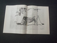 1914 MARCH 12 LIFE MAGAZINE - NOT GUILTY - L 758X