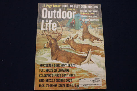 1965 OCTOBER OUTDOOR LIFE MAGAZINE - ILLUSTRATED COVER, STORIES, PHOTOS - E 9009