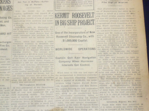 1920 NOVEMBER 14 NEW YORK TIMES - KERMIT ROOSEVELT IN SHIP PROJECT - NT 8454