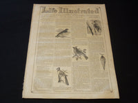 1857 OCTOBER 10 LIFE ILLUSTRATED NEWSPAPER - BIRD NOTES - NP 5915