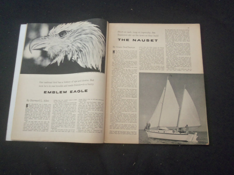 1961 JULY BOYS' LIFE MAGAZINE - AMERICAN BALD EAGLE - ST 3770M