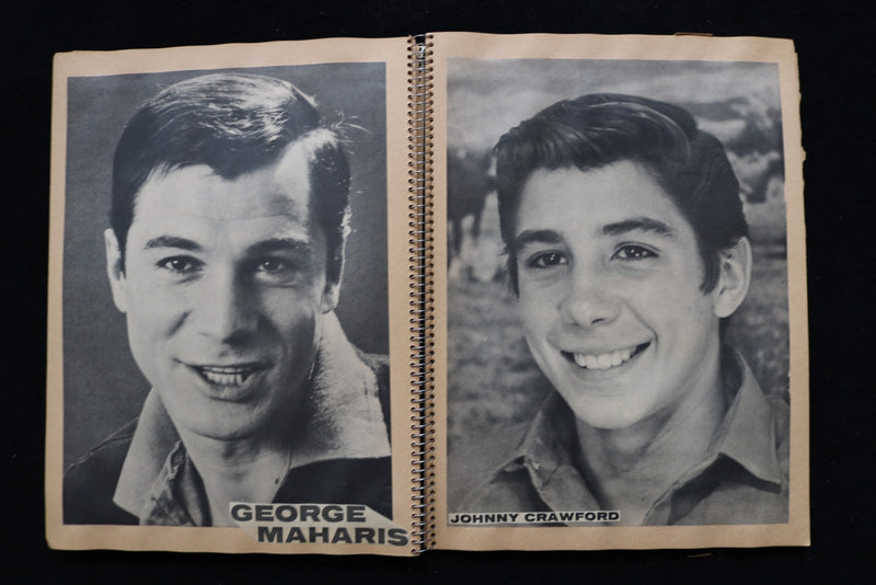 MOVIE STARS SCRAPBOOK-RICHARD CHAMBERLAIN-CONNIE STEVENS-MICHAEL LANDON- E 26435