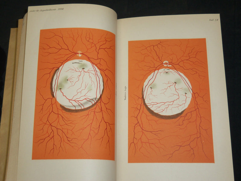 1894-1907 ARCHIV FUR AUGENHEILKUNDE KNAPP SCHWEIGGER VOLUME LOT OF 28 - R 372