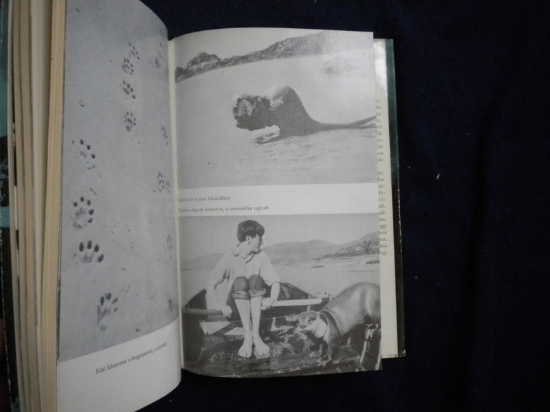 1973 CSILLOGO VIZGYURUK HARDCOVER BOOK BY GAWIN MAXWELL - HUNGARIAN - KD 8086