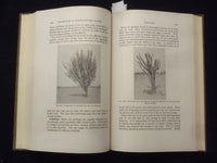 1939 PROPAGATION OF HORTICULTURAL PLANTS HARDCOVER BOOK-ADRIANCE/BRISON- KD 8670
