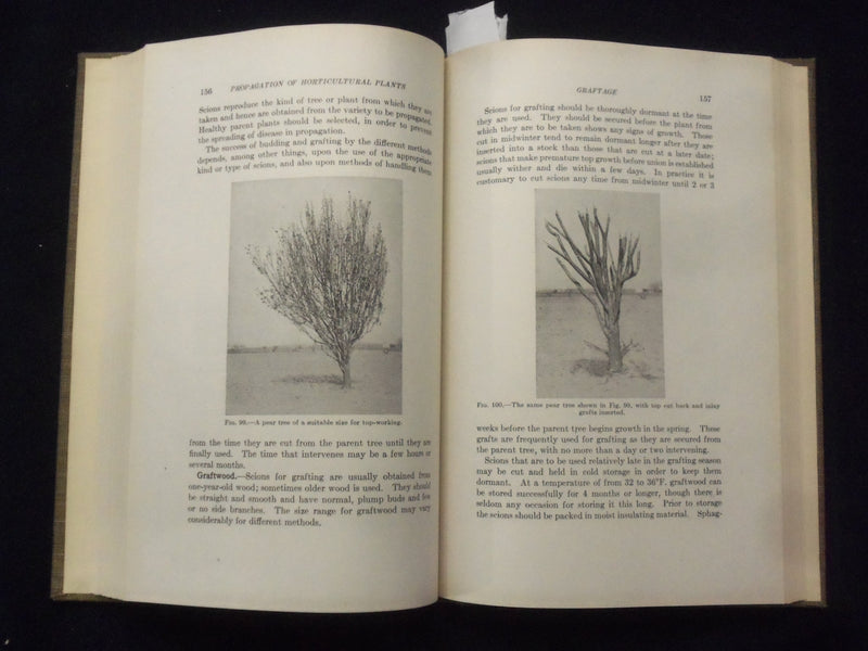 1939 PROPAGATION OF HORTICULTURAL PLANTS HARDCOVER BOOK-ADRIANCE/BRISON- KD 8670