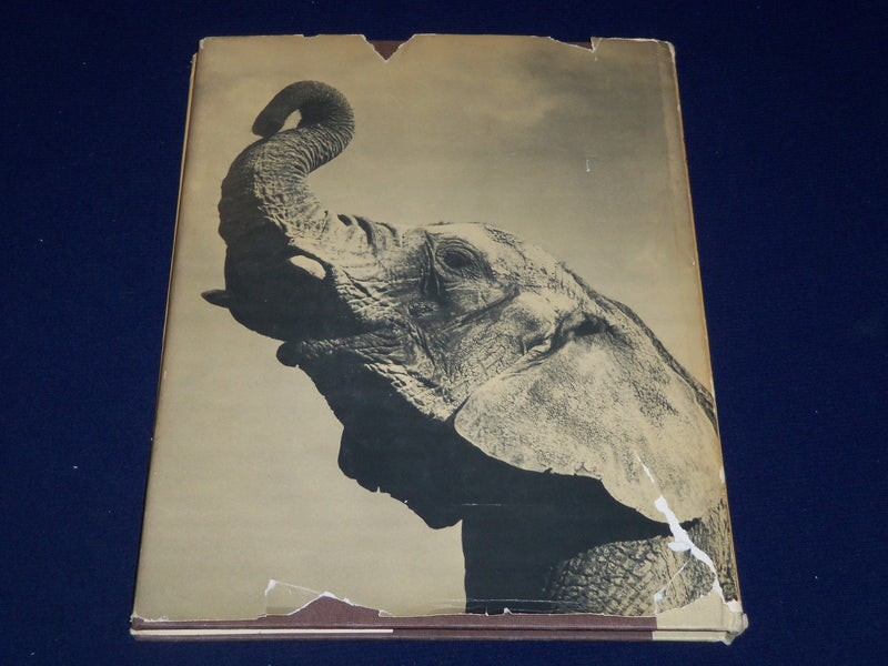 1964 ANIMAL LANGUAGE BOOK B JULIAN HUXLEY + RECORD BY LUDWIG KOCH - KD 3486H