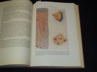 1940 SHOCK - BLOOD STUDIES BOOK INSCRIBED BY JOHN SCUDDER M. D. - KD 7842