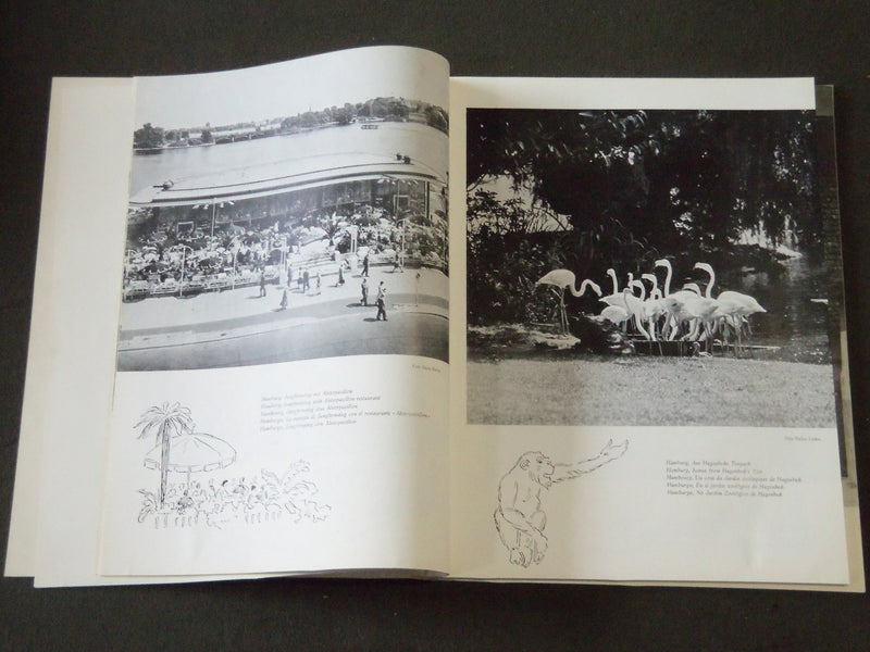 DEUTSCHLAND GRUSST SEINE FREUNDE SOFTCOVER BOOK - NICE PHOTOS - J 2173