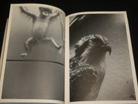 1983 NATURAL SELECTION SOFTCOVER BOOK W/ PHOTOGRAPHS BY JEREMIAH DINE - R 713C