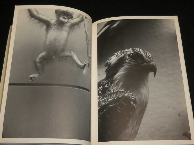 1983 NATURAL SELECTION SOFTCOVER BOOK W/ PHOTOGRAPHS BY JEREMIAH DINE - R 713C