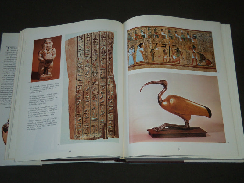 1978 Medicine : An Illustrated History by Lyons & Petrucelli book - I 431
