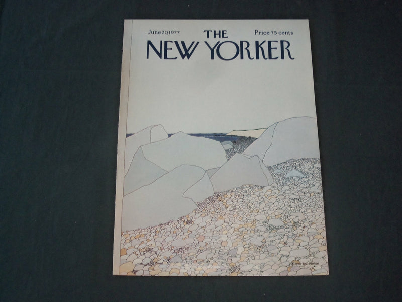 1977 JUNE 20 NEW YORKER MAGAZINE FRONT COVER ONLY - GREAT ART FOR FRAMING