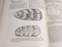 1957 MASTODONTS OF BRAZIL BY GEORGE GAYLORD SIMPSON BOOK - KD 4176