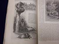 1879 HARPER'S MONTHLY MAGAZINE LOT 12 COMPLETE YEAR - NICE ILLUSTRATIONS- WR 509