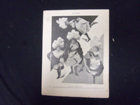 1896 DECEMBER 5 THE STANDARD MAGAZINE - MISS CISSY FITZGERALD - ST 3205