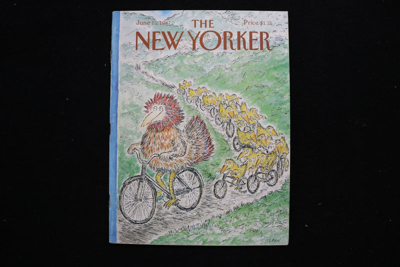 1987 JUNE 15 NEW YORKER MAGAZINE - GREAT ILLUSTRATED COVER - NY 3285