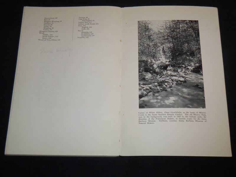 1940 TREES OF SANTA BARBARA DESCRIBED AND LOCATED BOOK BY RENSSELAER - J 8747