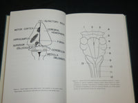 1962 THE RABBIT IN EXPERIMENTAL PHYSIOLOGY BOOK BY HAROLD M. KAPLAN - KD 2765Z