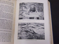 1923 THE MINDS AND MANNERS OF WILD ANIMALS BY W. T. HORNADAY - KD 5816